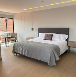 Junior-Terrace-2-scaled Habitacion MD